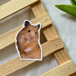 hamster